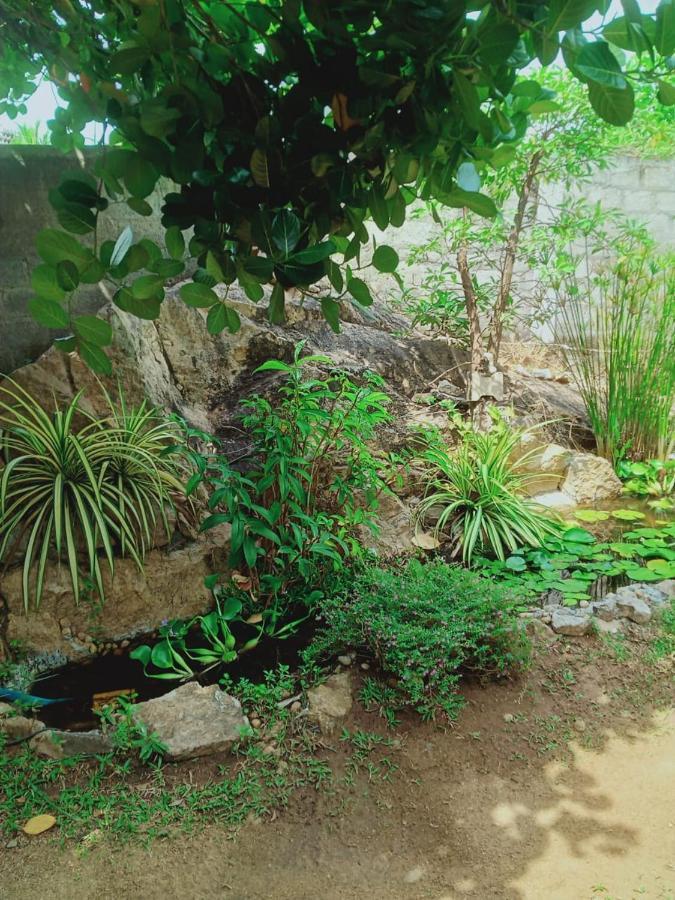 Sidhangana Home Stay Anurâdhapura Extérieur photo