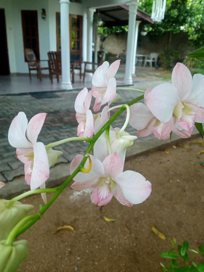 Sidhangana Home Stay Anurâdhapura Extérieur photo