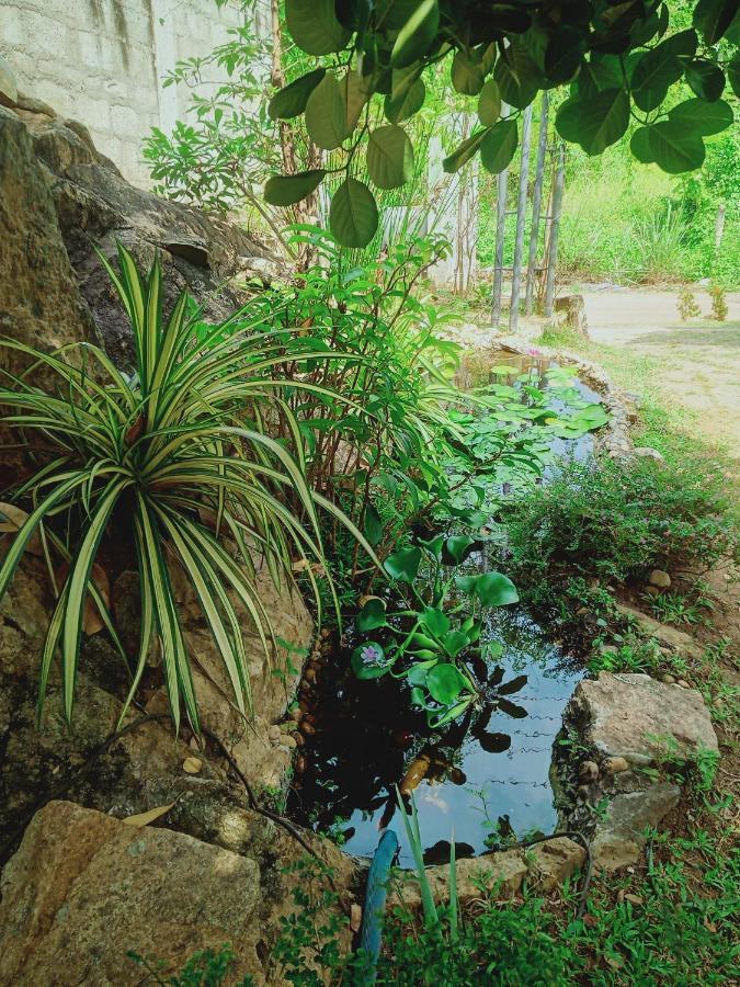 Sidhangana Home Stay Anurâdhapura Extérieur photo