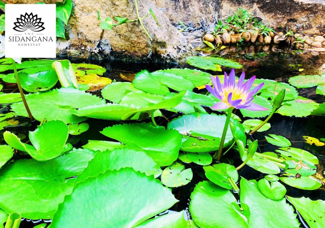 Sidhangana Home Stay Anurâdhapura Extérieur photo